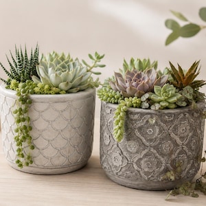 May include: Two cylindrical planters containing assorted succulents. The left planter is light gray with a scalloped pattern, while the right planter is dark gray with a floral embossed design. Both pots feature trailing green foliage.
