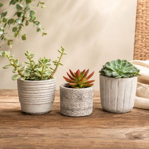 Striped Succulent Planter Set of 3 | Unique Concrete Planters | Cement Small Pots | Succulent Pots | Gift for Plant Lover | Boho Planters