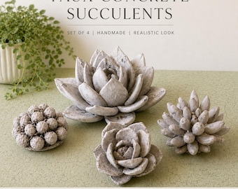 Faux Succulents Handmade of Concrete | Faux Flowers | Succulent Plant Set