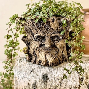 May include: A detailed, tree-like face planter with a weathered, bronze-colored finish. The planter is filled with trailing green and white variegated foliage. The planter sits on a birch log, creating a natural, rustic aesthetic.