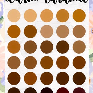 assorted brown swatches with hex codes