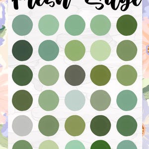 assorted green swatches