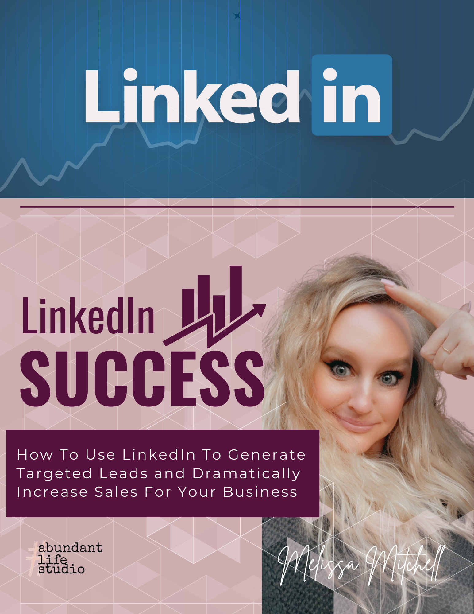 Linkedin Marketing Beginners Intermediate Guide Linkedin Profile