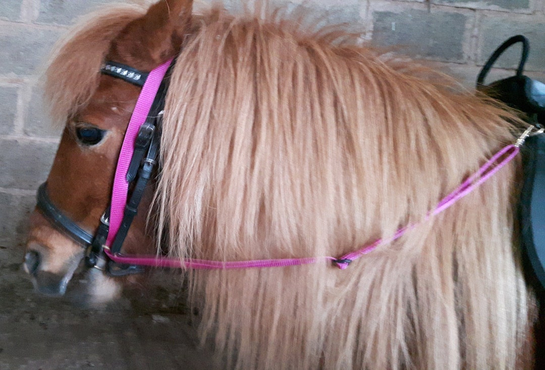 GRASS REINS Stop Pony Horse Eating Grass Etsy