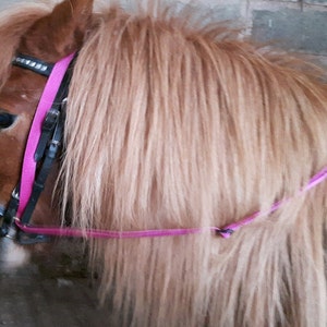 GRASS REINS stop pony horse eating grass