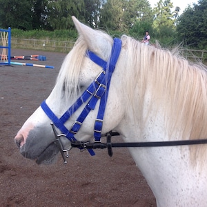 BRIDLE WEB shetland, small pony, pony, cob ,full sizes, washable webbing