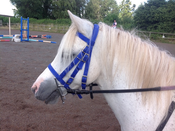 English Leather Raised Flash Bridle Flash Bridle in Sec B / Shetland / Small Pony Size