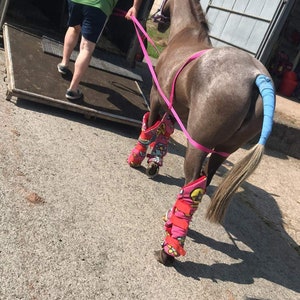 QUICK LOADER for LOADING difficult ponies or horses in lorry or trailer 20mm soft webbing