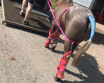 QUICK LOADER for LOADING difficult ponies or horses in lorry or trailer 20mm soft webbing