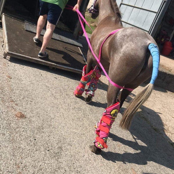 QUICK LOADER zum VERLADEN von schwierigen Ponys oder Pferden in LKW oder Anhänger aus 20mm weichem Gurtband