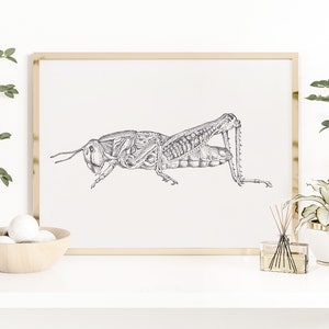 Grasshopper Art Printable - Etsy
