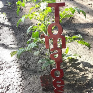 Puede incluir: Una estaca de jardín de metal rojo con la palabra "Tomato" recortada verticalmente. Está colocada en el suelo junto a una joven planta de tomate con hojas verdes. El fondo muestra más plantas y tierra.