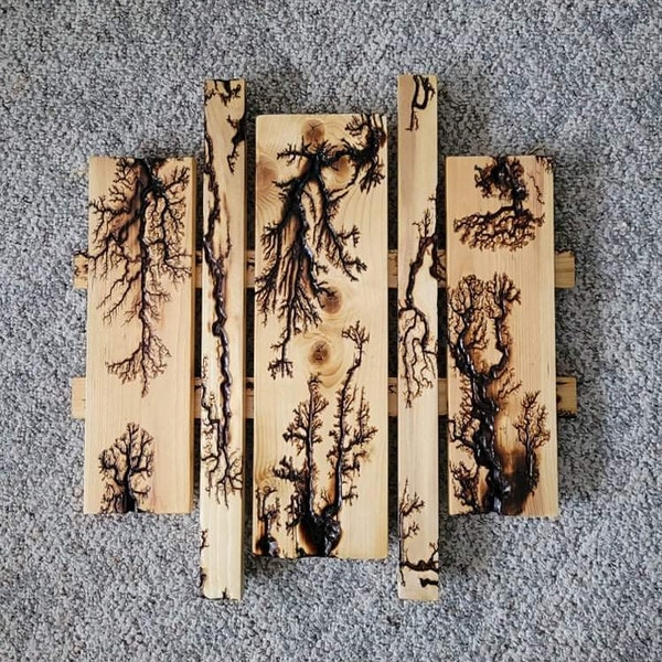 Lichtenberg Fractal Burnt 5 Panel Wood Wall Art