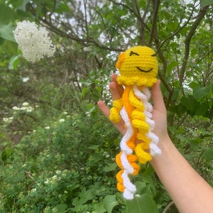 Jellyfish