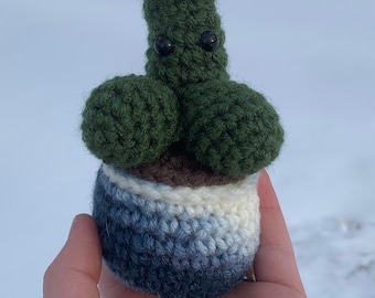 Cocktus