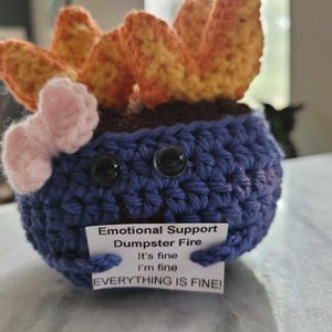 Emotional Support Dumpster Fire
