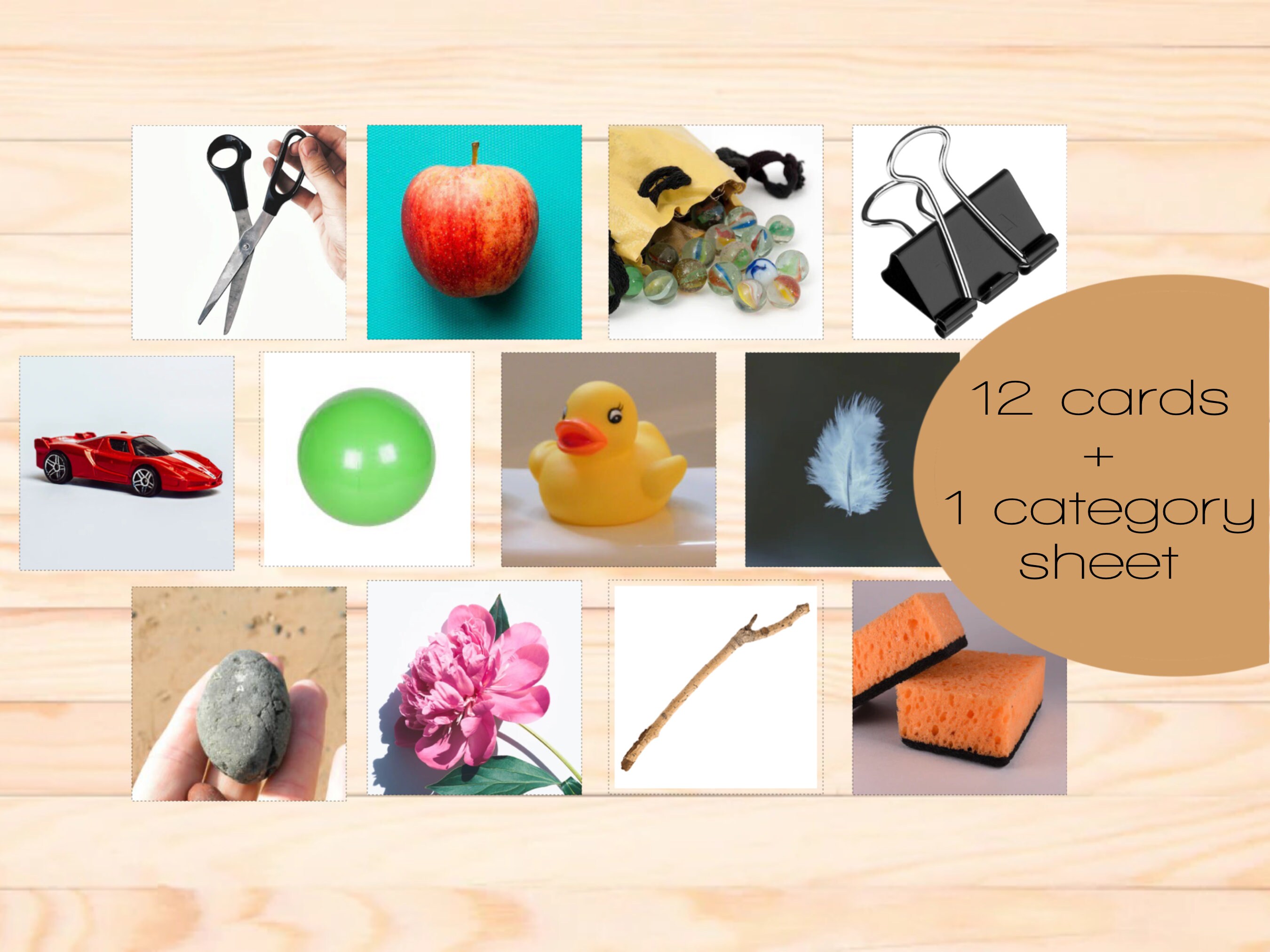Sink or Float Buoyancy Sorting Activity Montessori Printable - Etsy