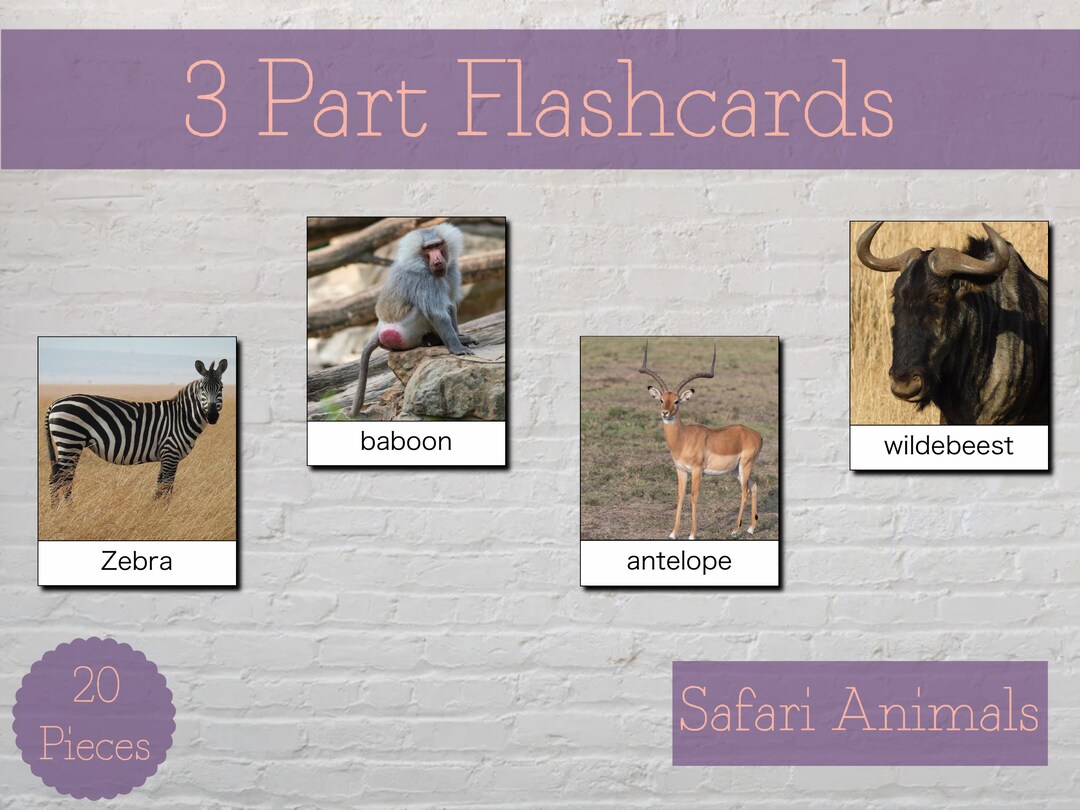 Safari Animal 3 Part Cards, Montessori at Home Materials for Early