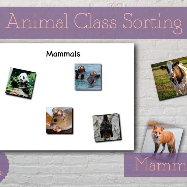 Mammals Animal Class Sorting Activity - Montessori Printable