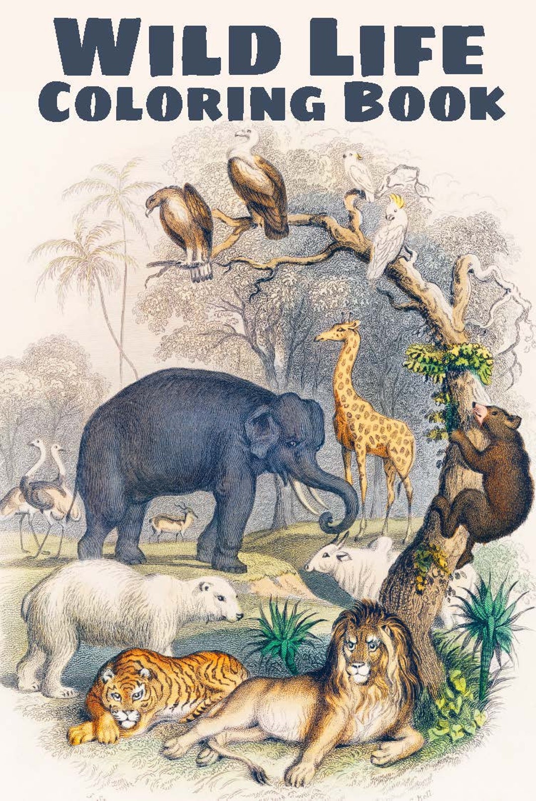 Wild Life Coloring Book Printable Digital Coloring Book Fun Gift Downloadable - Etsy