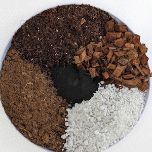 Soil-Less Medium Mix for Uncommon & Rare Aroids