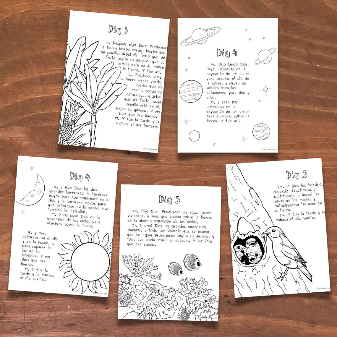 Spanish Bible Verse Coloring Pages! La Creación, the Creation, Genesis ...
