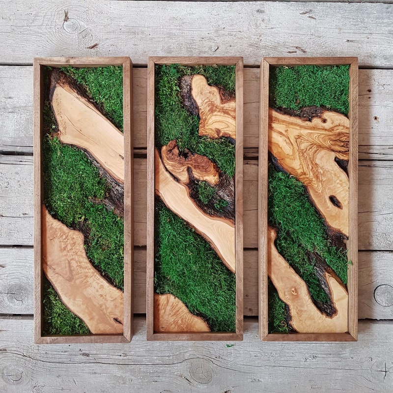 Moss Home Decor - Etsy - Rustic Moss Living Room Decor