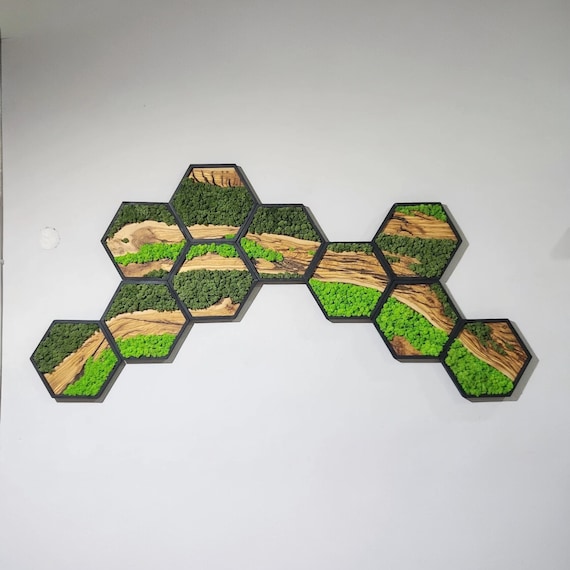 Handmade Moss Wall Art: Hexagon Design in Wooden Black Frame with Olive Wood Accents