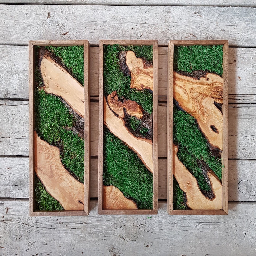 Handmade 3 Pcs Olive Wood and Moss Home Decor, Live Edge Wall Decor