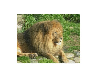 Lion in the Sun Jigsaw Puzzle (252 and 520 pieces)