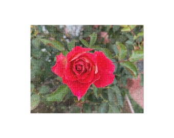 Light Red Dark Pink Rose Jigsaw Puzzle (252 and 520 pieces)