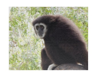 White Handed Gibbon on a Branch Jigsaw Puzzle (110, 252, and 500-piece)