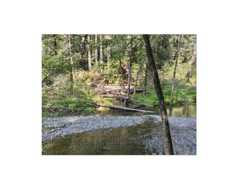 Papermill Creek A Jigsaw Puzzle (252 and 520 pieces)