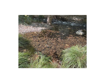 Alameda Creek L Jigsaw Puzzle (252 and 520 pieces)