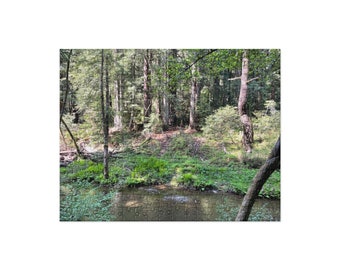 Papermill Creek B Jigsaw Puzzle (252 and 520 pieces)