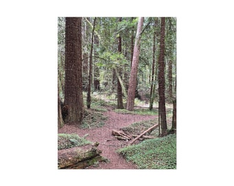 Redwoods C Jigsaw Puzzle (252 and 520 pieces)