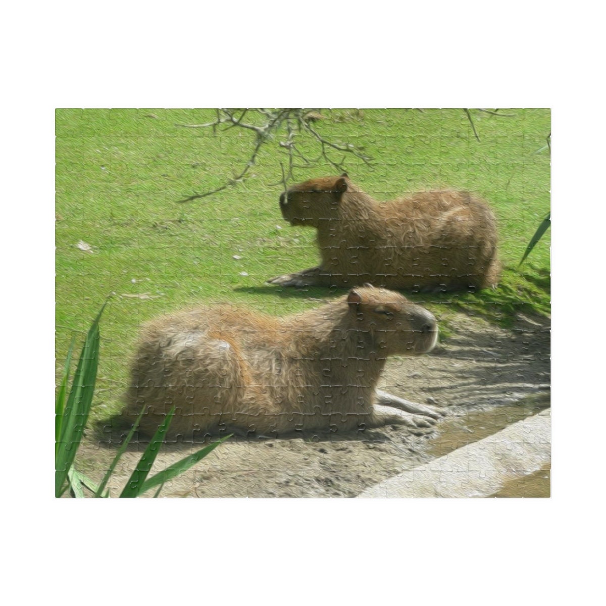 Capybara Sisters Jigsaw Puzzle 110 252 500-piece - Etsy