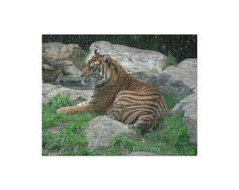 Tiger Relaxing Jigsaw Puzzle (252 and 520 pieces)