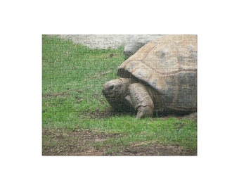 Giant Tortoise Jigsaw Puzzle (252 and 520 pieces)