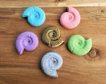 Ammonite Shell Fossil Magnet - Ancient Nautilus Cephalopod Replica Fridge Decor - Genuine Science Geek Nerd Steampunk Nautical 3D Print Gift