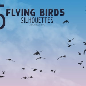 Flying Bird Flock Silhouet Borstels (SVG, PNG, ABR)