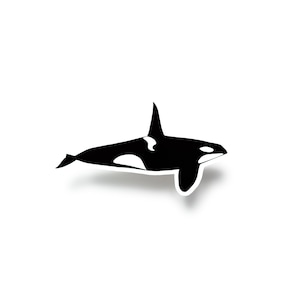 Killer Whale Vinyl Sticker | Cute Coastal Summer Beach Stickers | Decal for Laptop, Water Bottle, Journal, and Car Bumper Sticker