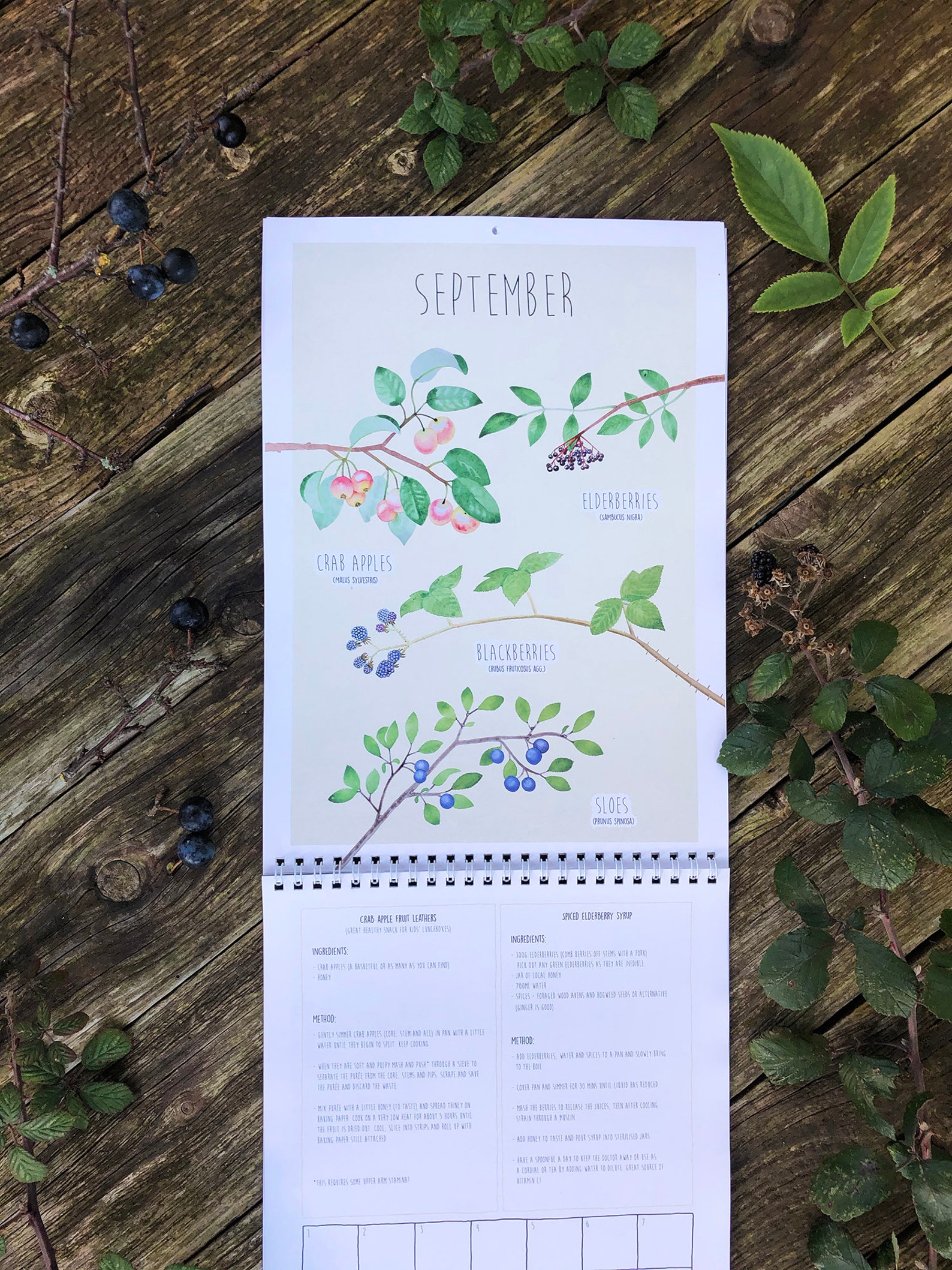 Foraging Calendar perpetual Etsy UK