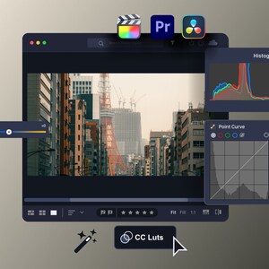 Cine-presets en LUT&#39;s Kleurgradatie | Foto en video | Mobiel en desktop | Videovoorinstellingen | Lightroom | Premiere Pro | Final Cut Pro