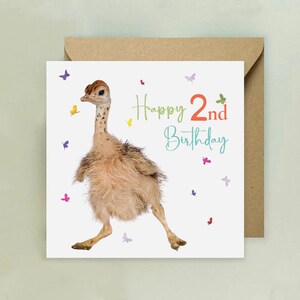 Cartão de segundo aniversário de avestruz de bebê fofo, cartão de aniversário de dois anos