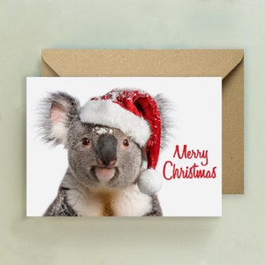 Cartolina di buon Natale del simpatico koala