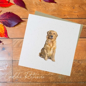 Carte Chien Golden Retriever