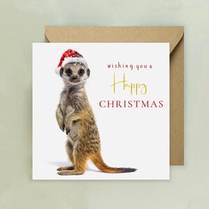 Cartolina di buon Natale di Meerkat