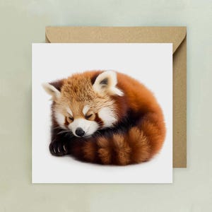 Cartão de felicitações Fluffy The Red Panda dormindo