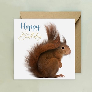 Carte joyeux anniversaire écureuil roux